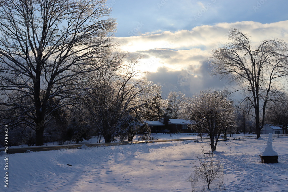 winter landscape with trees and snow winter landscape with trees and snow