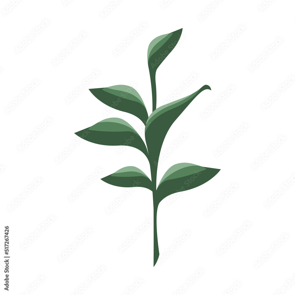 Fototapeta premium green branch with leafs