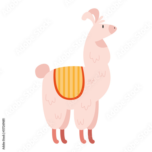 llama perubian pink color