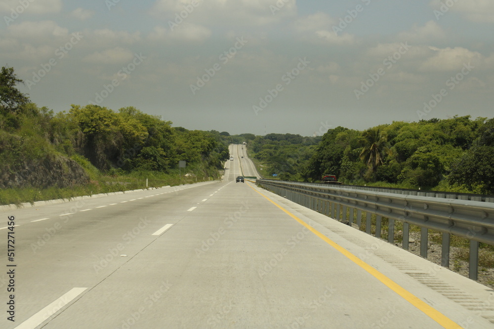 Autopista asfaltada con señalización de carriles y muro de contención entre arboles y coche en el camino al fondo