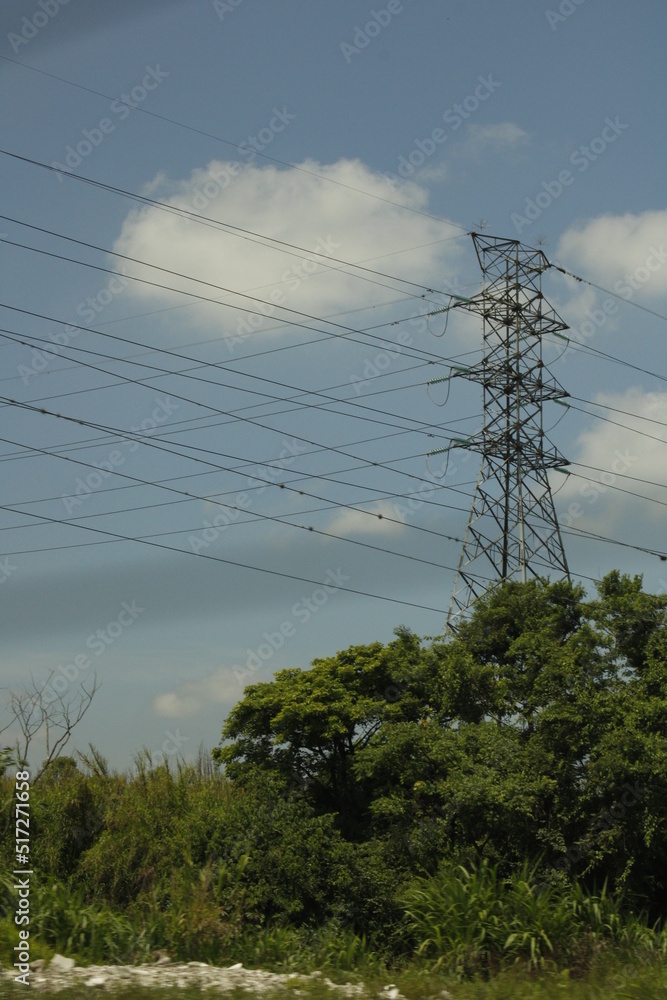 Torre de electricidad con cables en varias direcciones y árbol en la parte inferior