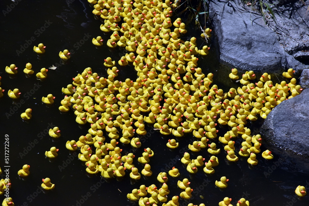 Viele Gummienten im Wasser Viele Gummienten im Wasser