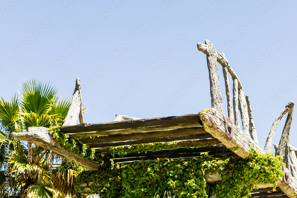Fototapeta premium A fragment of a wooden ruined bridge overgrown with green tropical vegetation among palm trees against a blue sky. Journey through the southern sights