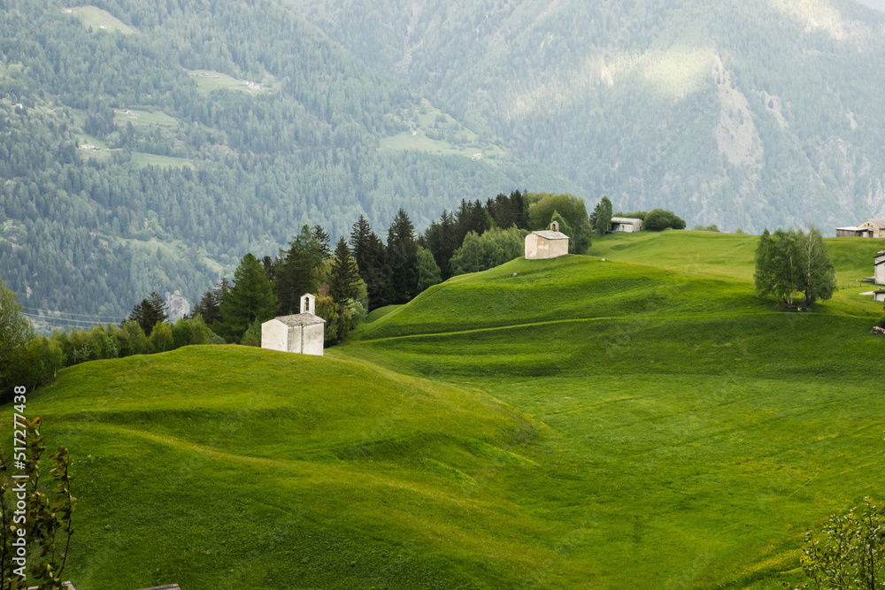 Idyllic landscape in the Alps with fresh green meadows and blooming flowers and d mountain tops in the background