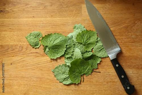 Garlic mustard ready for cutting for salad