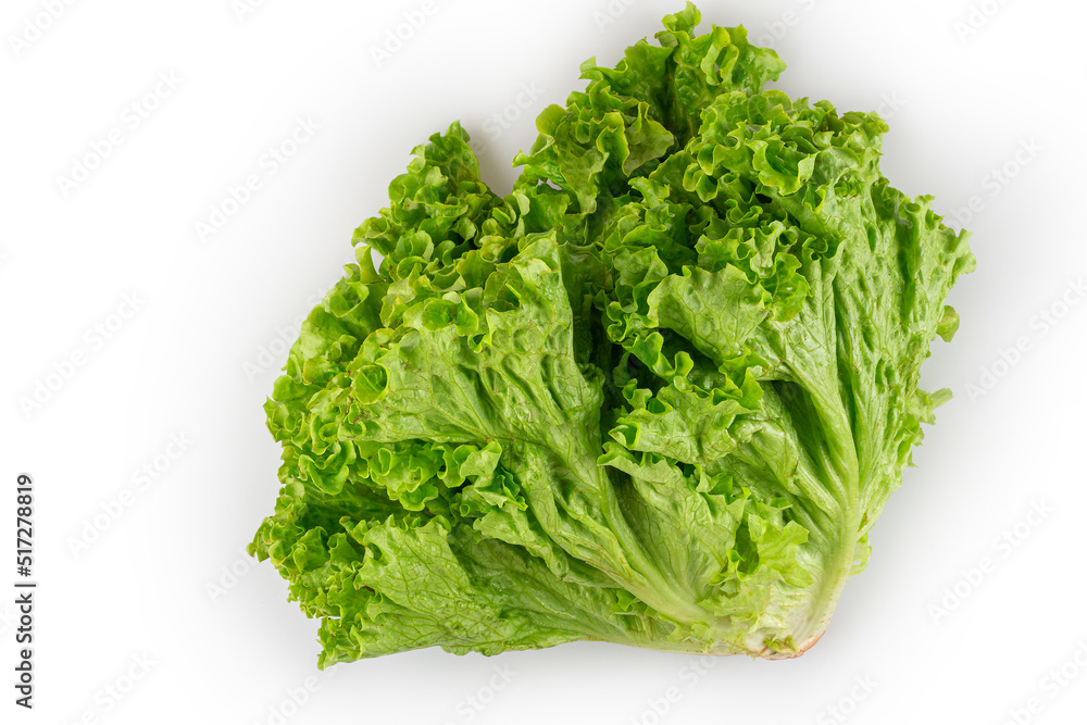 Curly lettuce isolated on white background. Curly lettuce isolated on white background.