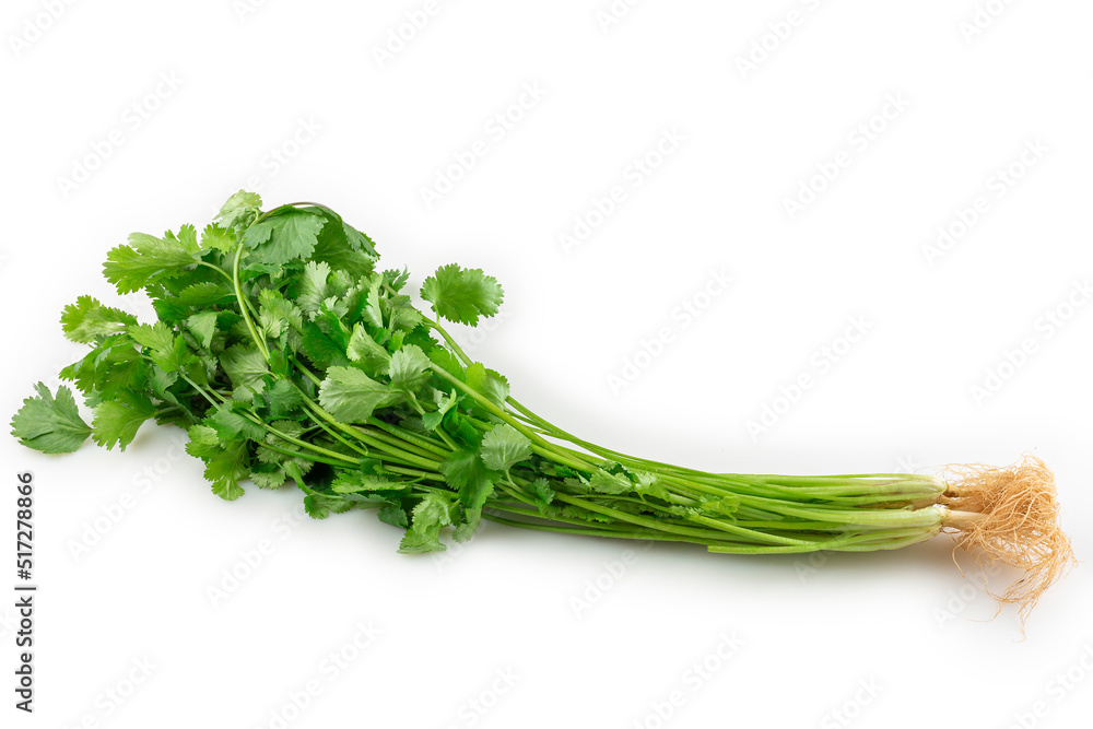 Coriander isolated on white background. Coriander isolated on white background.