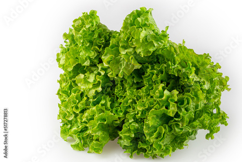 Curly lettuce isolated on white background.