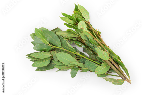 Bay leaves isolated on white background.