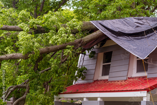 Heavy tree on a roof top is covered with a tarp until a tree  crew can get there