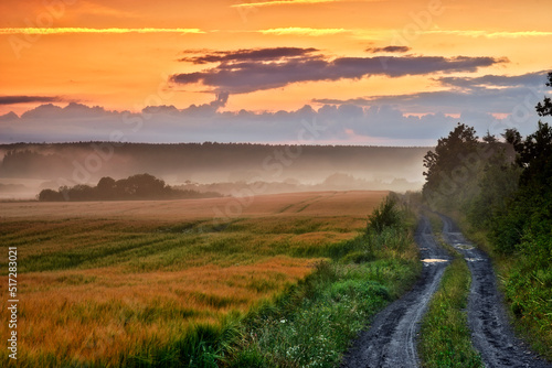 Countryside dirt road leading to agriculture fields or farm pasture in a remote area during sunrise or sunset with fog or mist. Landscape view of quiet scenery and mystical farming meadows in Germany