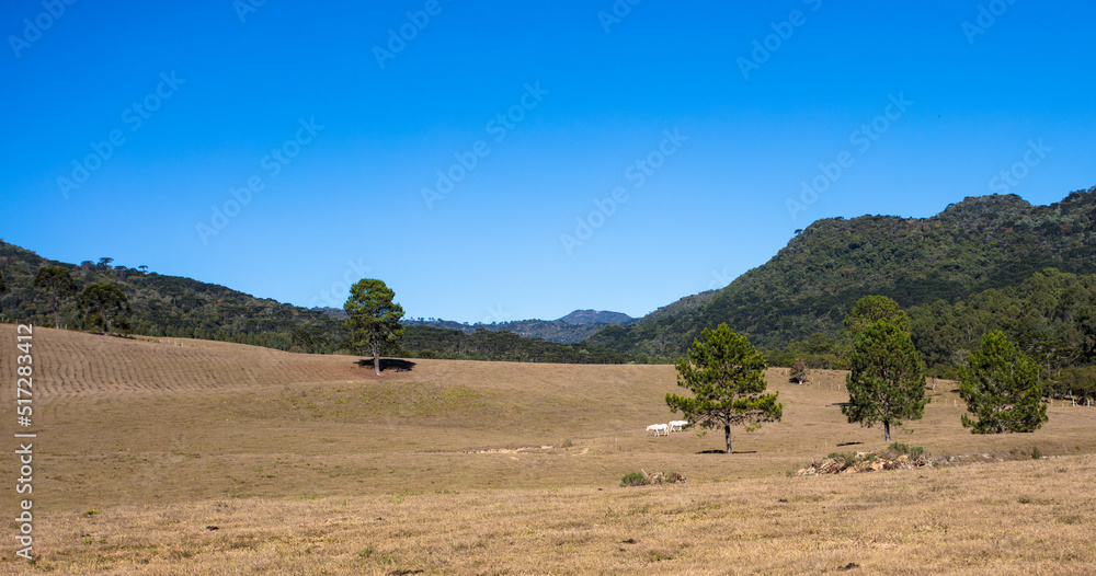 Rural landscape in southern Brazil. Rural landscape in southern Brazil.