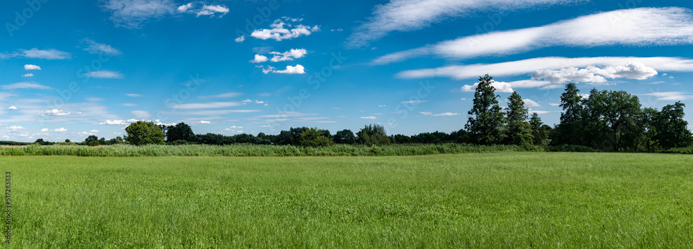 Fototapeta premium krajobraz szerokiej łąki, panorama zielonych terenów w zachodniej Polsce