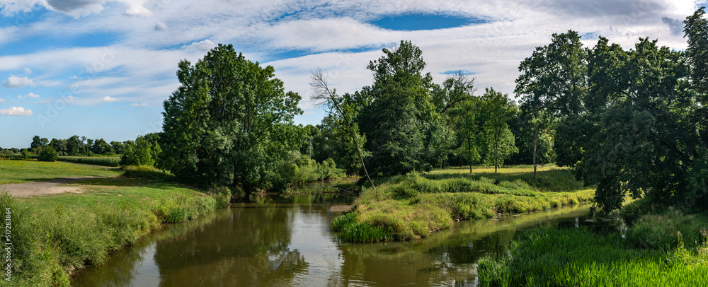 krajobraz rzeki Odry w zachodniej Polsce w jasnych zielono niebieskich barwach i lekko pochmurnej pogodzie - obrazy, fototapety, plakaty 