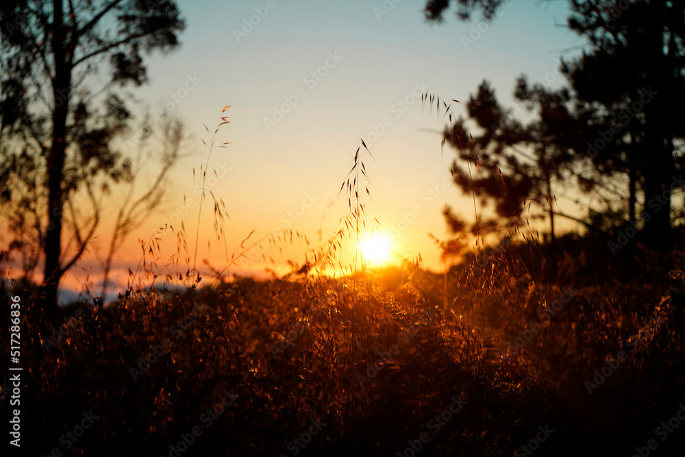 Obraz premium sunset