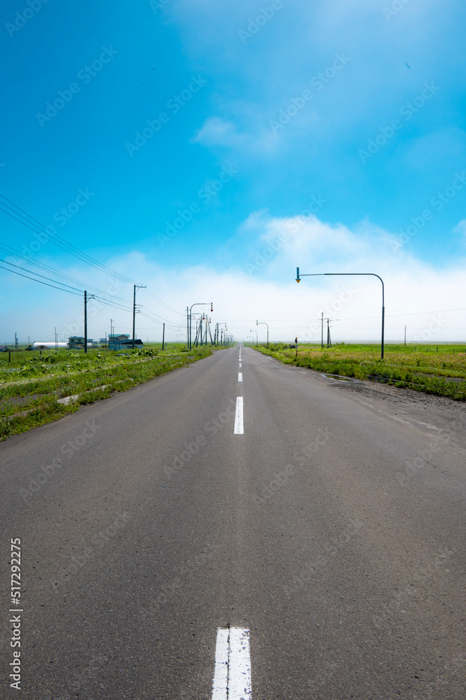 Fototapeta premium 北海道の道路