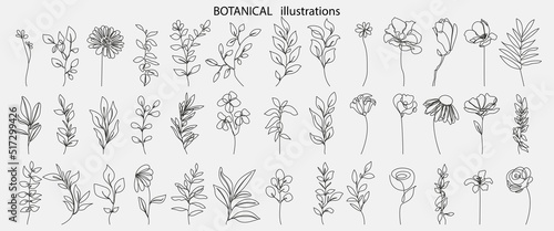 Flowers and Leaves Vector Hand Drawn Line Art Drawing Set. Minimalist Trendy Contemporary Floral Design Perfect for Wall Art, Prints, Social Media, Posters, Invitations, Branding Design.