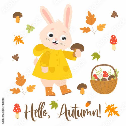 Autumn cute rabbit in raincoat and rubber boots picks mushrooms. Wicker basket with mushrooms and falling autumn leaves. Vector illustration. Isolated elements. Bunny character for fall design