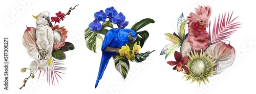 A set of tropical bouquets. white cockatoo, blue macaw and pink cockatoo. Watercolor realistic illustration
