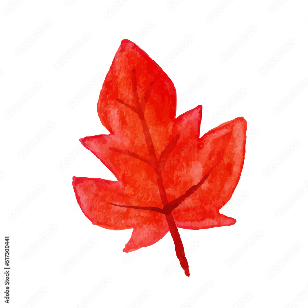 紅葉した葉っぱの水彩イラスト　白背景　ベクター　水彩画　手書き　クリップアート