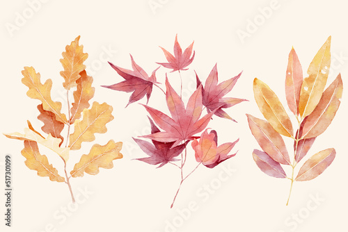 Set of autumn leaves branch in watercolor style
