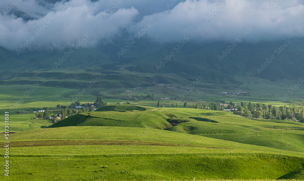 Mountain valley after rain. Gray foggy sky.Green mountain meadows.