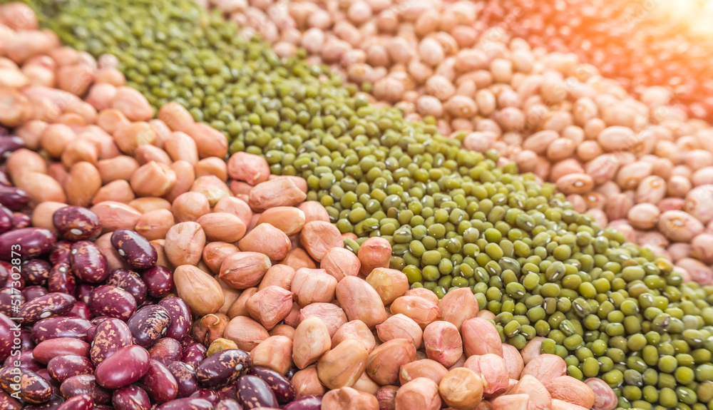 Autumn harvest of grain grain, full screen of whole grains. Autumn harvest of grain grain, full screen of whole grains.