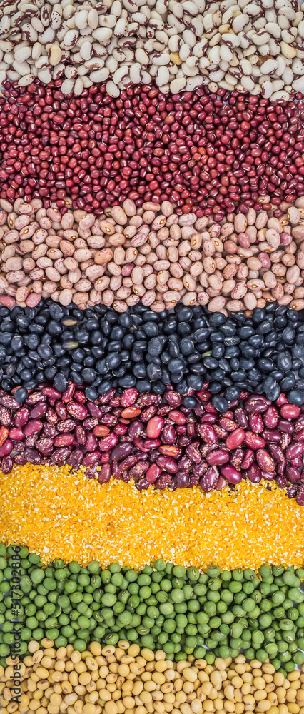 Autumn harvest of grain grain, full screen of whole grains. Autumn harvest of grain grain, full screen of whole grains.