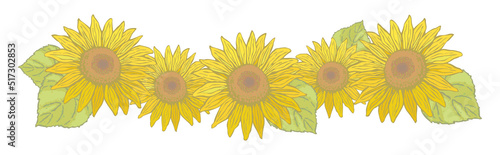ひまわりの花と葉の装飾ライン