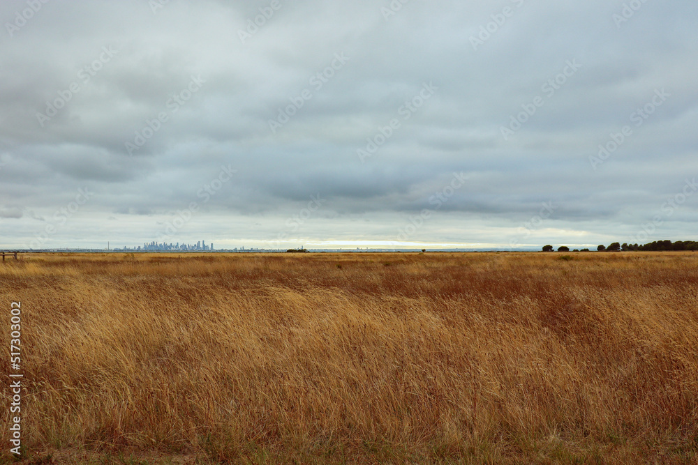 grasslands and cloud over Melbourne city skyline