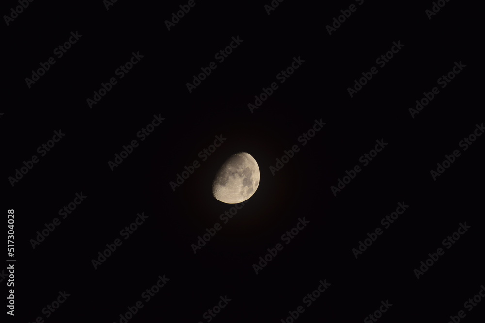 Moon Moon