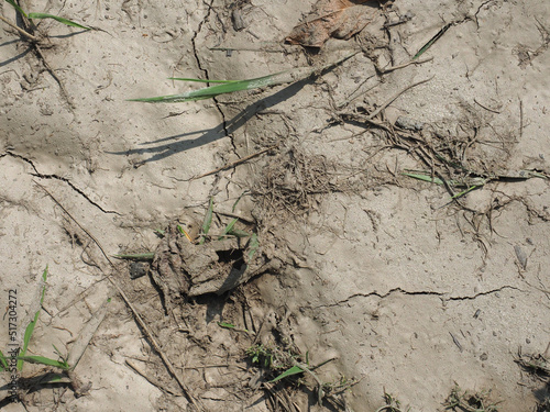 dry earth climate change