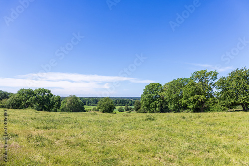 Meadow with a beautiful landscape view in the summer
