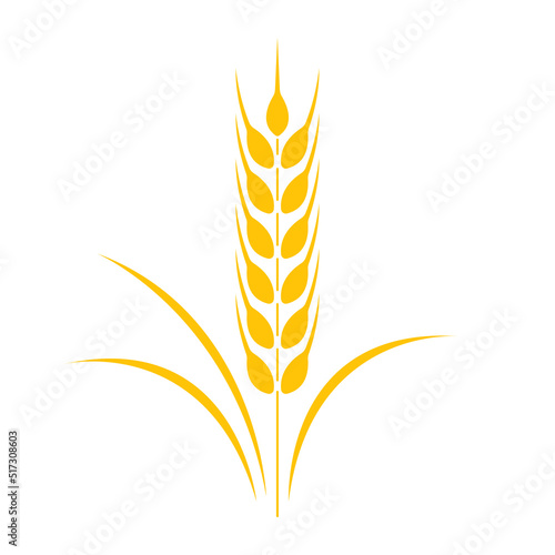 ear of wheat flat logo icon vector Illustration