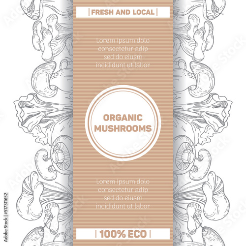 Organic mushrooms. Packaging template. Set of edible mushrooms. vintage botanical illustration. Graphic objects in vintage style. Great for menu, label, product packaging