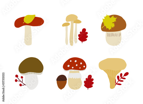 Autumn forest mushroom. Cute cartoon vector illustration isolated on white background. Boletus, aspen, chanterelles, honey mushrooms, toadstools, fly agaric