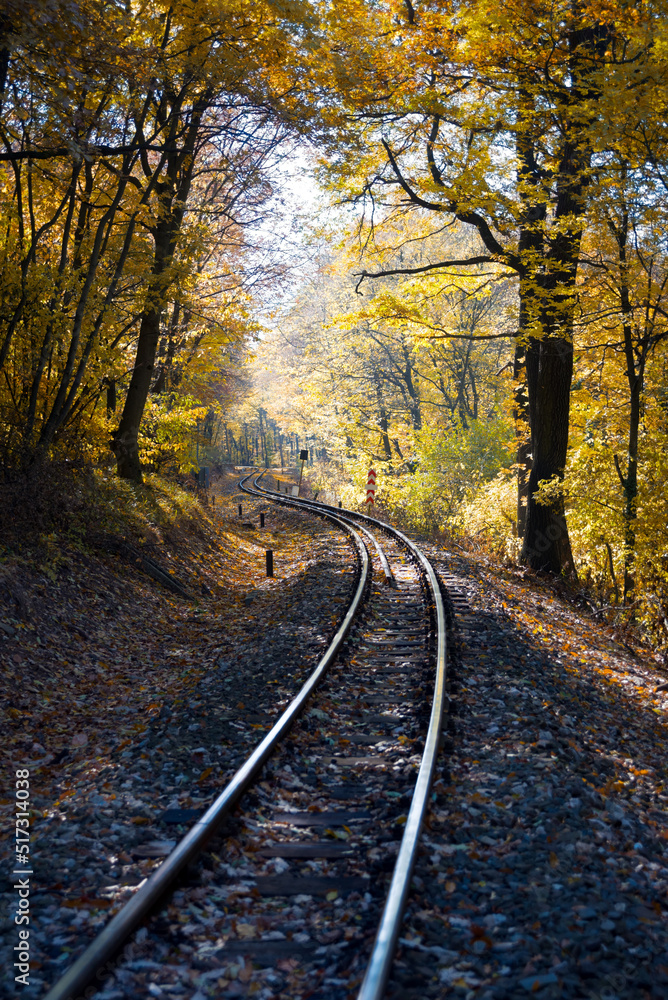 Fototapeta premium Railway in the autumn forest