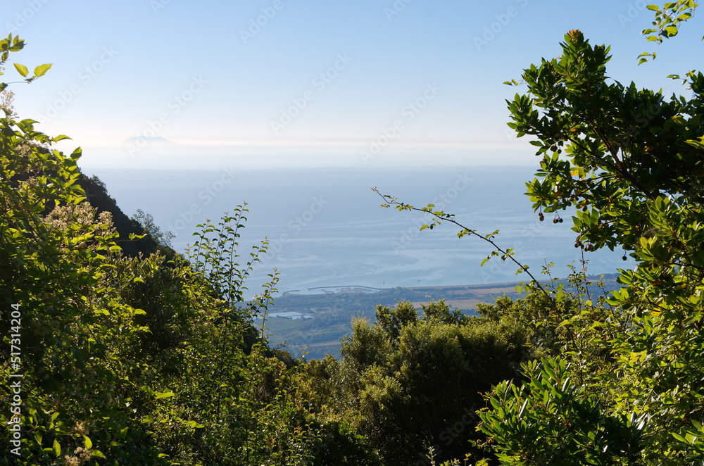 Costa Verde coast in eastern plain of Corsica