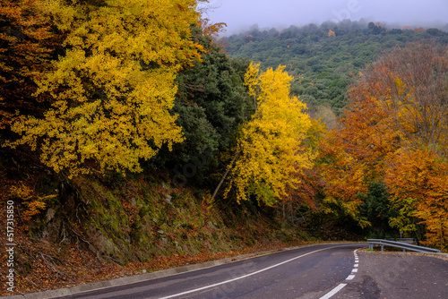 Mountains with deciduous trees in Girona, Catalonia (Spain), in autumn.