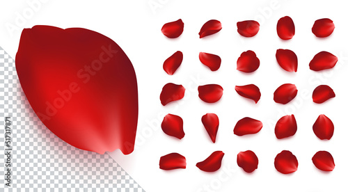 Set of vector realistic rose petals of different shapes with shadow. Isolated red, burgundy volumetric petal on transparent white background. Template for greeting romantic cards. Close-up.