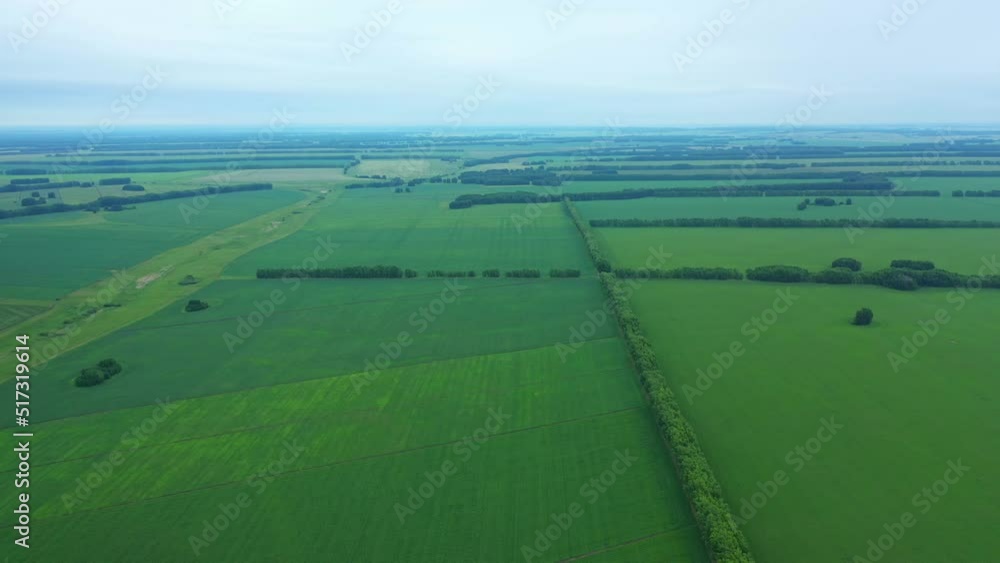 Drone flying over green harvest field. Land covered with green grass. Aerial view of agriculture field in countryside. Drone flying over green harvest field. Land covered with green grass. Aerial view of agriculture field in countryside.
