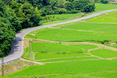 夏の田染荘 大分県豊後高田市 Tashibunosho in summer. Ooita-ken Bungotakata city.