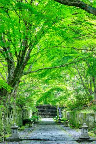 夏の両子寺　大分県国東市　Futagoji Temple in summer. Ooita-ken Kunisaki city.　