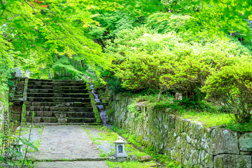                                        Futagoji Temple in summer. Ooita-ken Kunisaki city.   