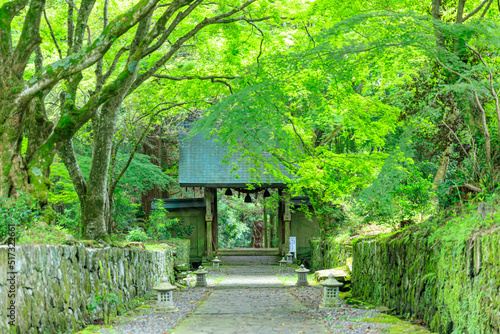                                       Futagoji Temple in summer. Ooita-ken Kunisaki city.   