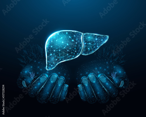 Two human hands are holds human liver. Support healthy liver concept. Wireframe glowing low poly design on dark blue background. Abstract futuristic vector illustration.