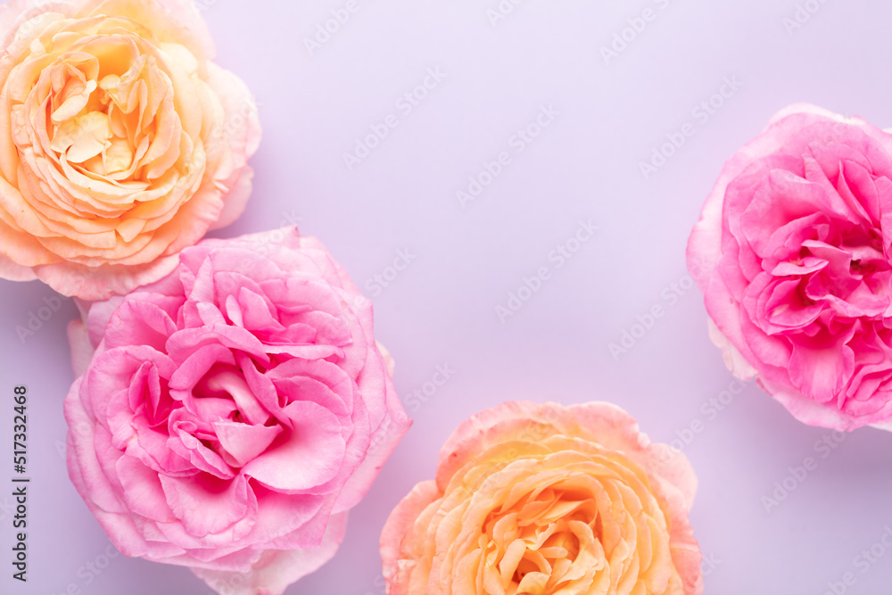 Blurred background with rose. Copy space for your text. Mock up template. Can be used for wallpaper, wedding card. Blurred background with rose. Copy space for your text. Mock up template. Can be used for wallpaper, wedding card.