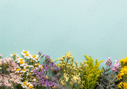 Herbal tea ingredients with various fresh herbs and flowers,  on pastel background, top view, frame.