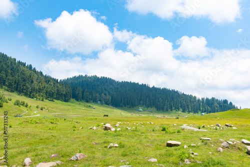 Hills full of Rocks, Gulmarg, Jammu and Kashmir, India. © 3 Travelers