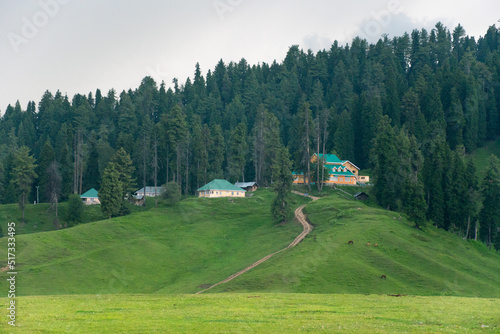 Gulmarg is a town, a hill station in summer time, a popular skiing destination of the Indian state of Jammu and Kashmir. It is a popular .tourist destination and hill station photo